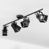 Isanay Ceiling Light black, 4-light sources