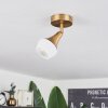 Venizy Ceiling Light antique brass, 1-light source