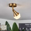 Venizy Ceiling Light antique brass, 1-light source