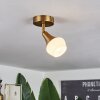 Venizy Ceiling Light antique brass, 1-light source