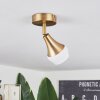 Venizy Ceiling Light antique brass, 1-light source