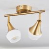 Venizy Ceiling Light antique brass, 2-light sources