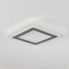 Wawo Ceiling Light LED white, 1-light source, Remote control