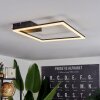Taleta Ceiling Light LED black, 1-light source