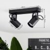 Kergus Ceiling Light black, 2-light sources