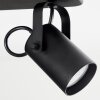 Kergus Ceiling Light black, 2-light sources