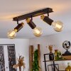 Brenier Ceiling Light Dark wood, black, 3-light sources