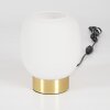 Pintacura Table lamp brass, 1-light source