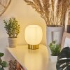 Pintacura Table lamp brass, 1-light source