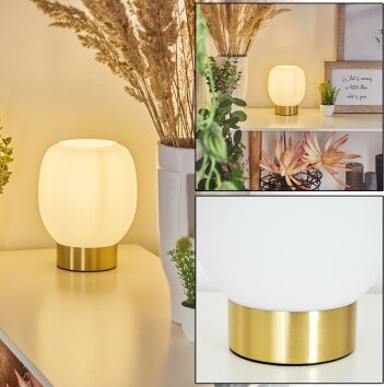 Pintacura Table lamp brass, 1-light source