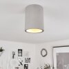 Stettler Ceiling Light grey, 1-light source