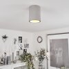 Stettler Ceiling Light grey, 1-light source