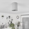 Stettler Ceiling Light grey, 1-light source