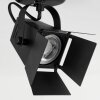 Isanay Ceiling Light black, 1-light source