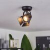 Isanay Ceiling Light black, 1-light source