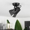 Isanay Ceiling Light black, 1-light source