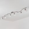 Chapod Ceiling Light LED chrome, matt nickel, 6-light sources