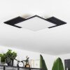 Barullu Ceiling Light LED Light wood, black, white, 1-light source