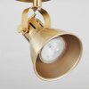 Salinas Ceiling Light brass, 1-light source