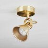 Salinas Ceiling Light brass, 1-light source