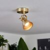 Salinas Ceiling Light brass, 1-light source