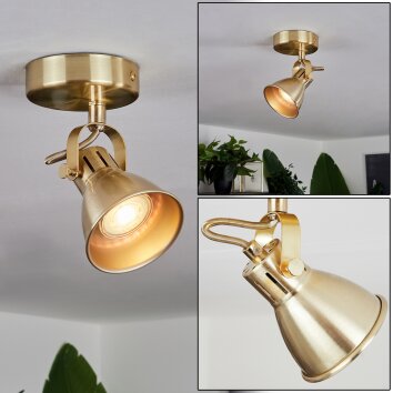 Salinas Ceiling Light brass, 1-light source