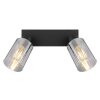 Globo HADERA Ceiling Light black, 2-light sources