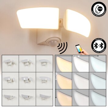 Carnetin Outdoor Wall Light LED white, 2-light sources, Motion sensor
