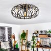 Oravi Ceiling Light black-gold, 1-light source
