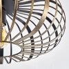 Oravi Ceiling Light black-gold, 1-light source