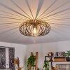 Oravi Ceiling Light black-gold, 1-light source