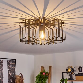 Oravi Ceiling Light black-gold, 1-light source