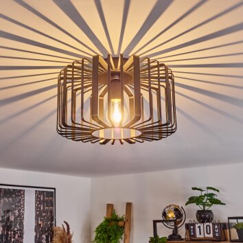 Oravi Ceiling Light black, 1-light source