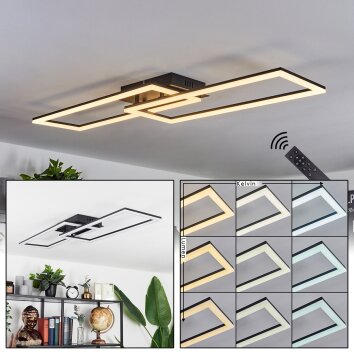 Hyacinthe Ceiling Light LED black, 1-light source, Remote control