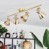 Salinas Ceiling Light LED brass, 4-light sources