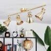 Salinas Ceiling Light LED brass, 4-light sources