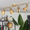 Salinas Ceiling Light LED brass, 4-light sources