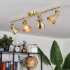 Salinas Ceiling Light LED brass, 4-light sources