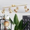 Salinas Ceiling Light LED brass, 4-light sources
