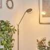 Huallilemu Floor Lamp LED matt nickel, 1-light source