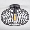 Oravi Ceiling Light black, 1-light source