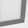Apidou Outdoor Wall Light LED anthracite, 1-light source