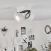 Laonsana Ceiling Light LED black, white, 2-light sources