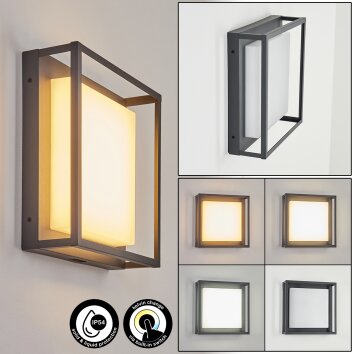 Nonza Outdoor Wall Light LED anthracite, 1-light source