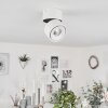 Laonsana Ceiling Light LED black, white, 1-light source