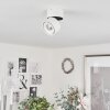 Laonsana Ceiling Light LED black, white, 1-light source
