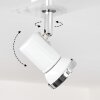 Lanrigan Ceiling Light LED chrome, white, 3-light sources