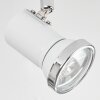 Lanrigan Ceiling Light LED chrome, white, 3-light sources