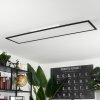 Wilderswil Ceiling Light LED white, 1-light source