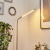 Reuland Floor Lamp LED matt nickel, 1-light source